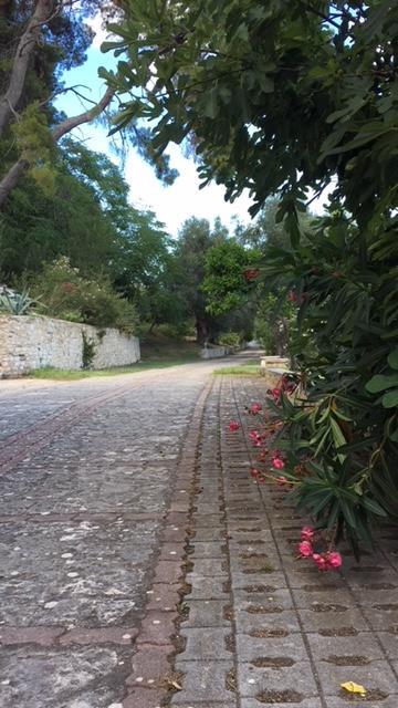 Tenuta Valle Della Corte 维耶斯泰 外观 照片