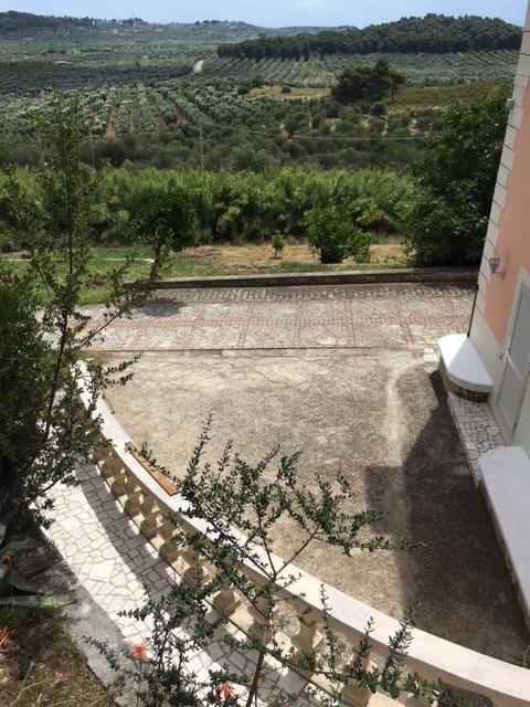 Tenuta Valle Della Corte 维耶斯泰 外观 照片